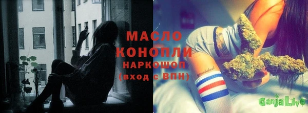 молекула духа Волоколамск