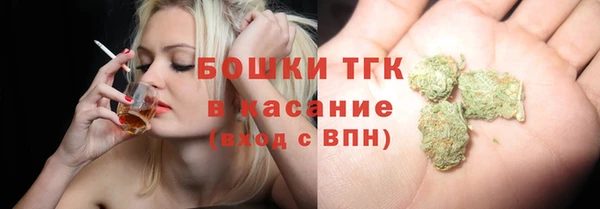 молекула духа Волоколамск
