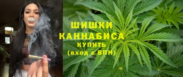 молекула духа Волоколамск