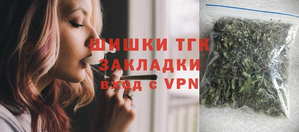 молекула духа Волоколамск