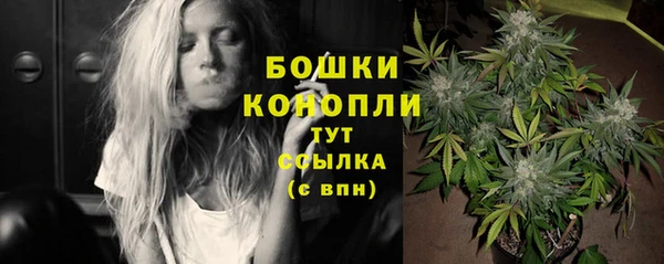 молекула духа Волоколамск