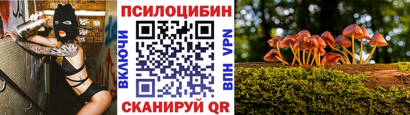 Галлюциногенные грибы Magic Shrooms  как найти закладки  гидра ссылки  Можга 